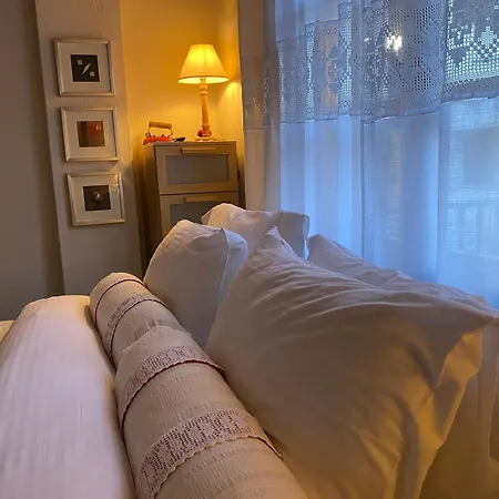 Evergreen * Ελάτη