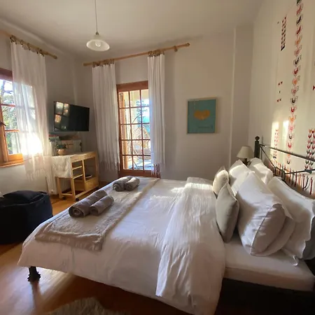 Evergreen * Ελάτη