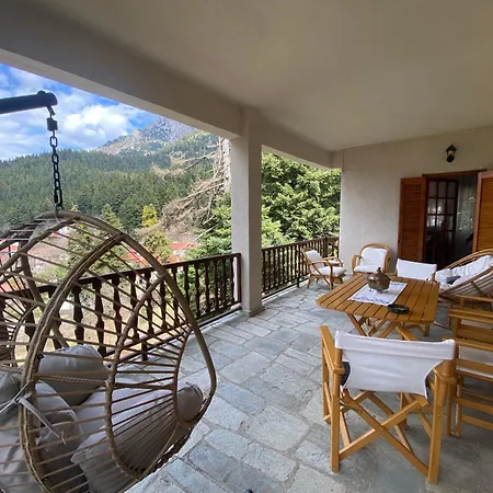 Evergreen * Ελάτη